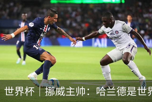 世界杯｜挪威主帅：哈兰德是世界上最好的射手